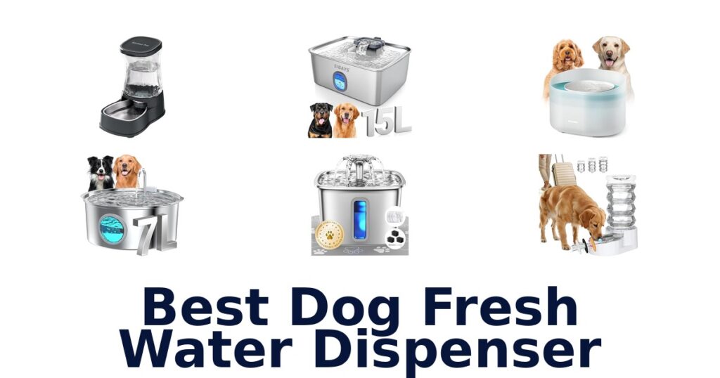 Best Dog Water Dispensers: Top 10 Picks! best dog fresh water dispenser
