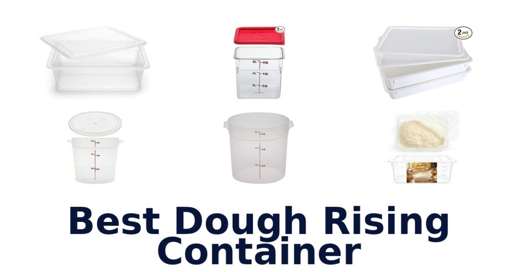 best dough rising container