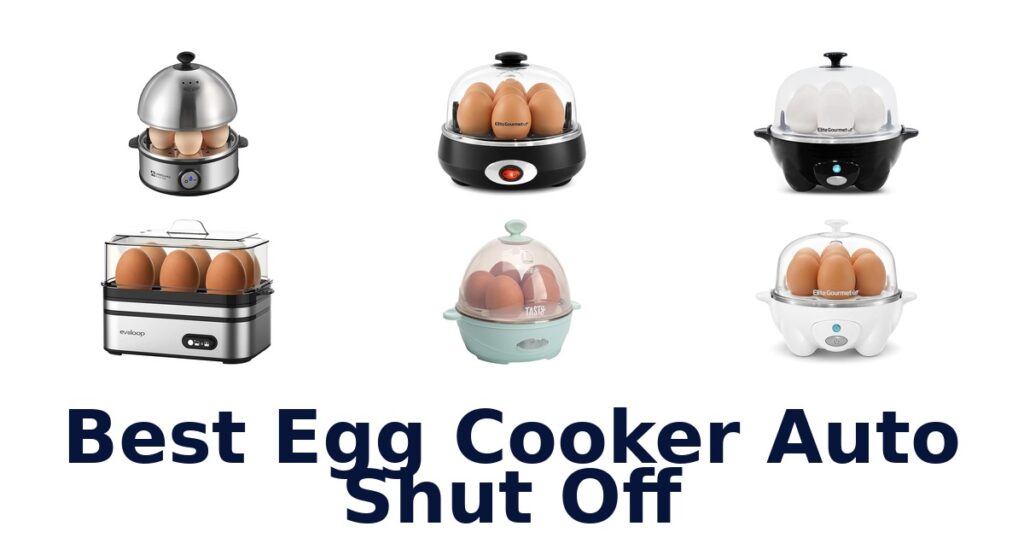 best egg cooker auto shut off