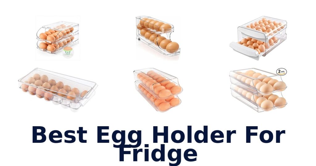 best egg holder for fridge