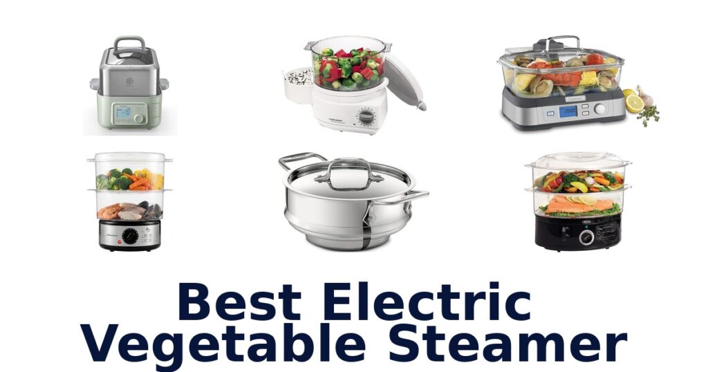 best electric vegetable steamer