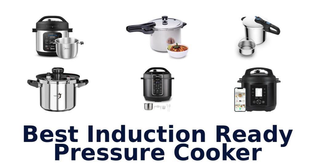 Best Induction Pressure Cookers 2026 best induction ready pressure cooker