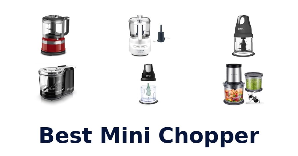 BEST Mini Choppers: Top 10 Picks best mini chopper