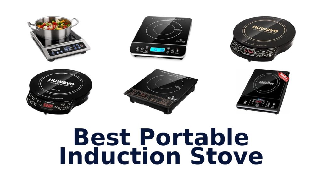 best portable induction stove