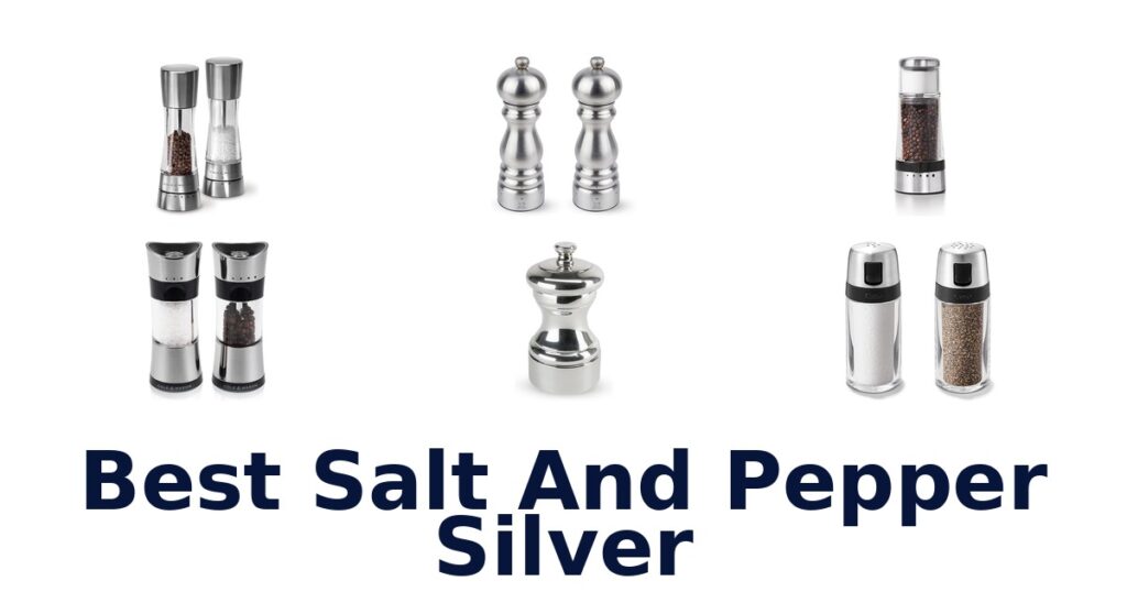 best salt and pepper silver