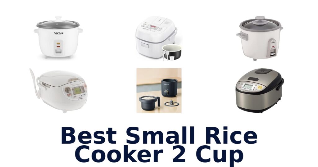 best small rice cooker 2 cup