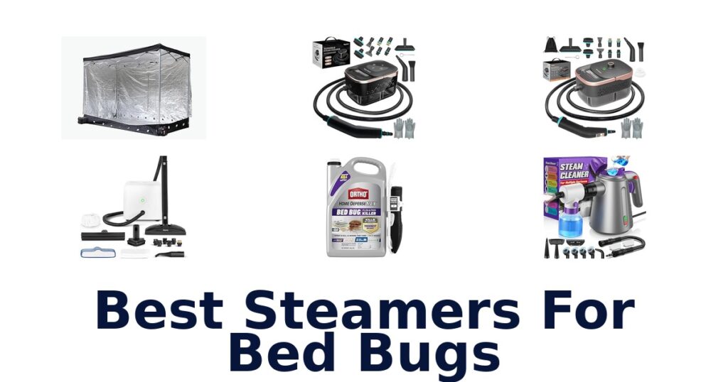 best steamers for bed bugs