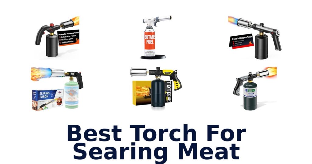Best Culinary Torches for Searing Meat: Top 10 Picks best torch for searing meat