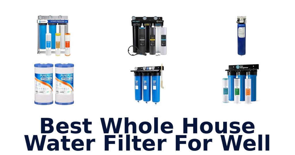 best whole house water filter for well