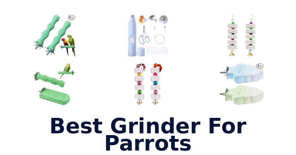 Best Grinder for Parrots: Top 10 Picks 2026 best grinder for parrots